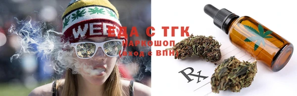 мет Алексин