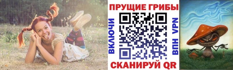Псилоцибиновые грибы Magic Shrooms  Глазов 