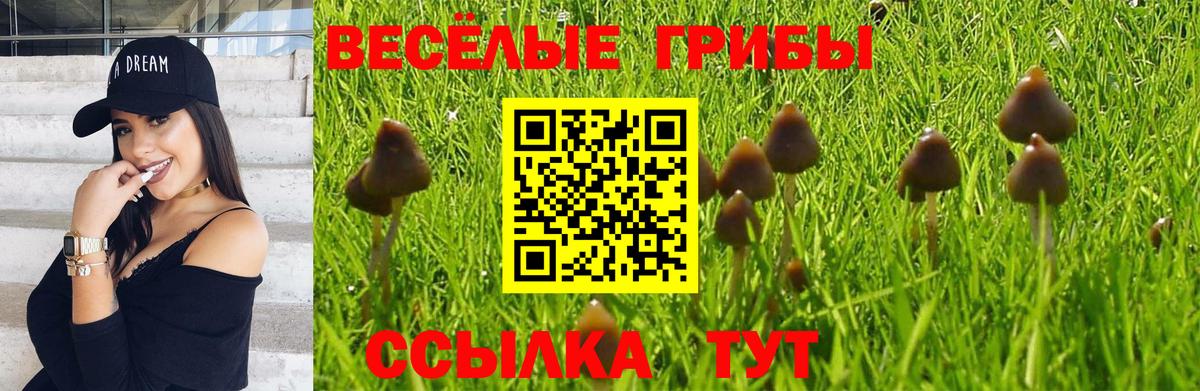 как найти наркотики  Псилоцибиновые грибы Cubensis  Вход с VPN  Галлюциногенные грибы Magic Shrooms  Глазов 